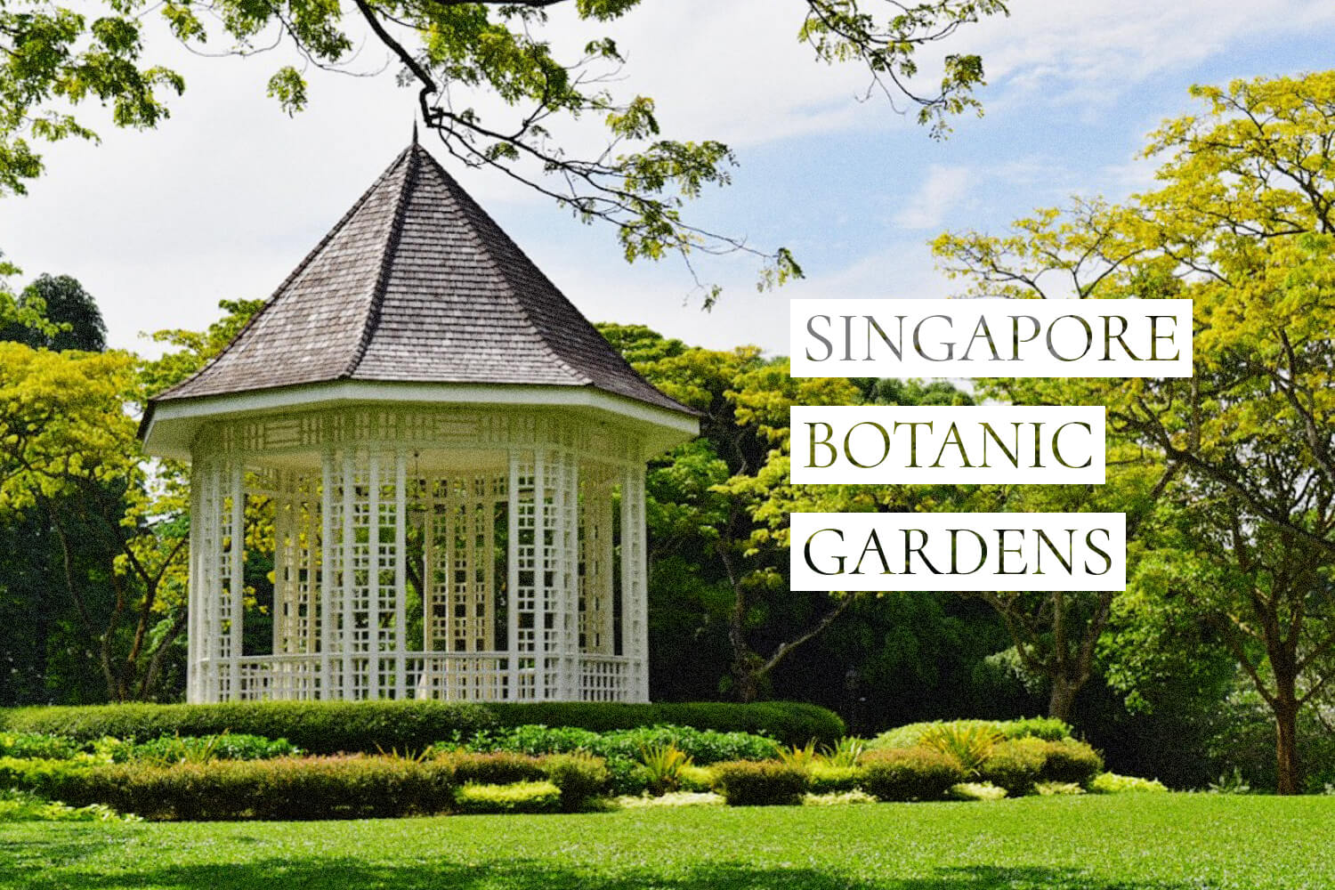 【なぜ世界遺産？】シンガポール植物園の特徴と見どころを紹介