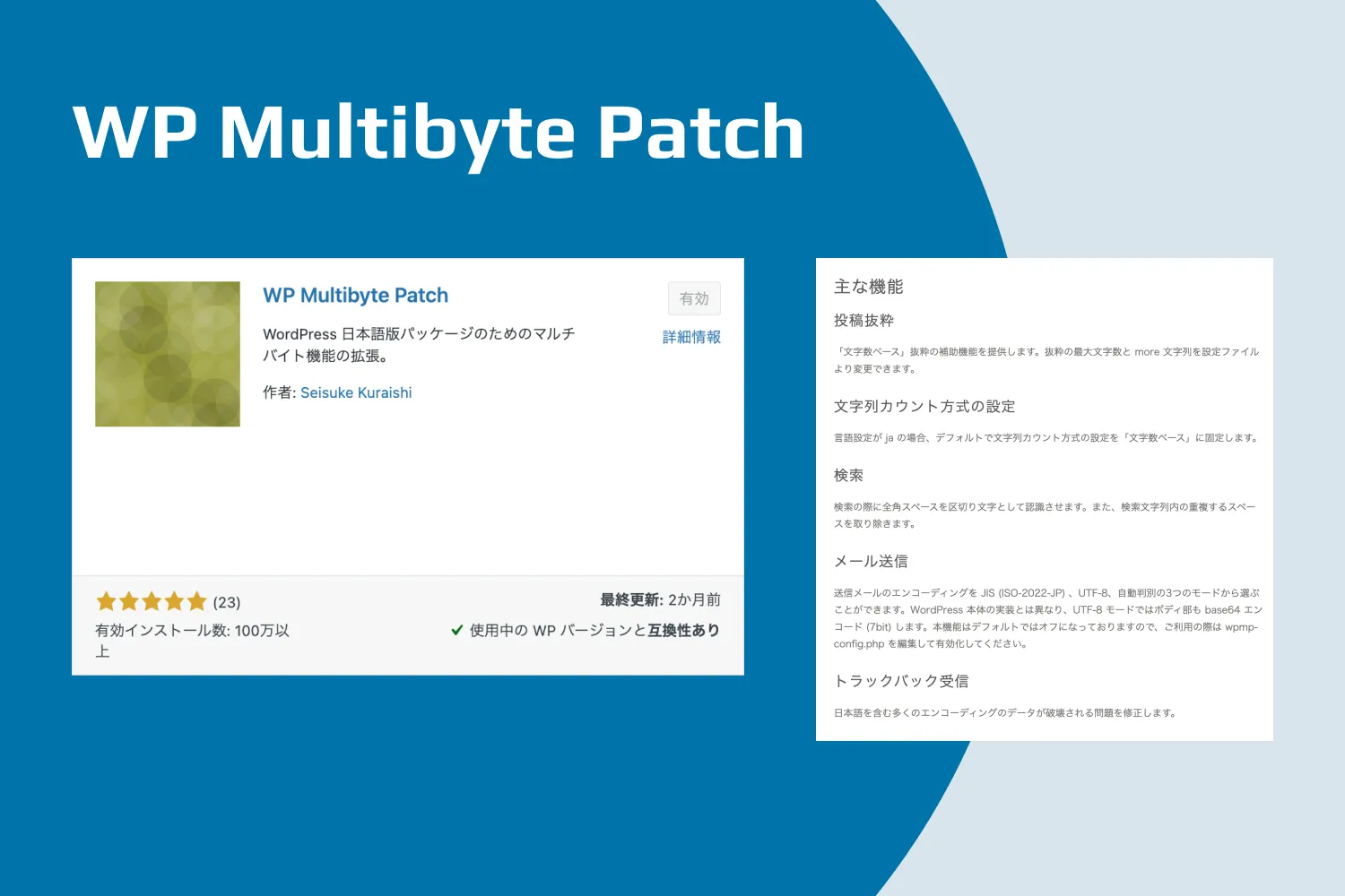 WP Multibyte Patch