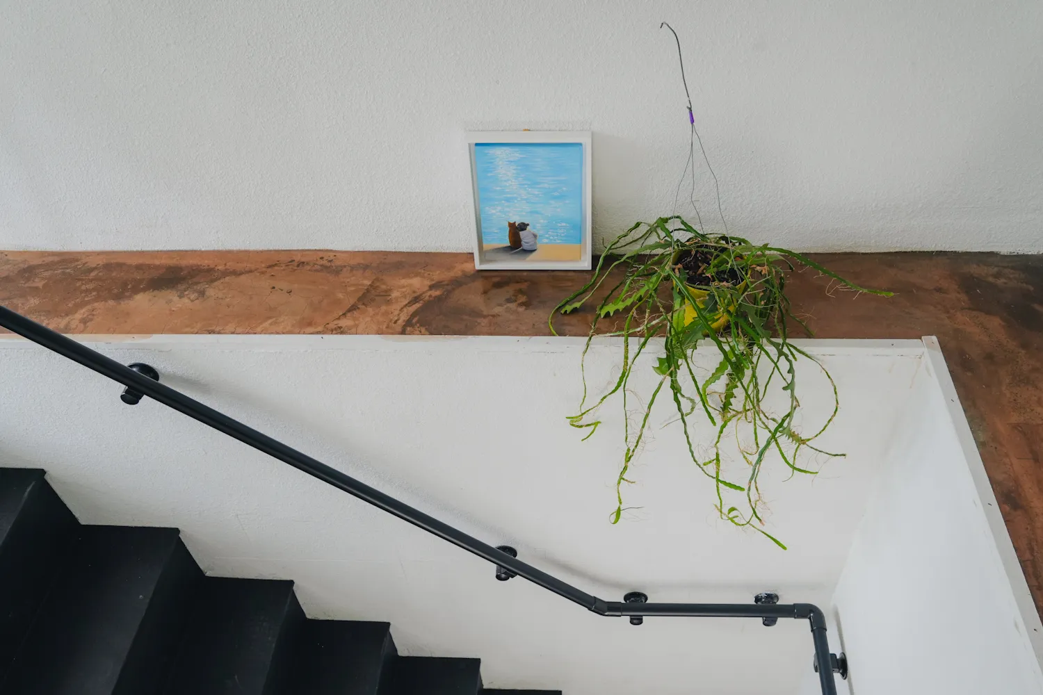 ヒルコーヒーの店内