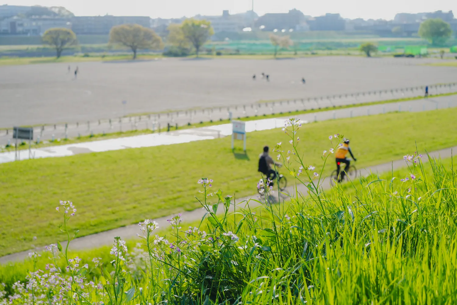 多摩川の河川敷